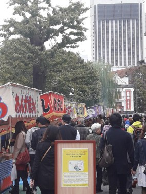 20161030_064040_zps1lzhvzmw