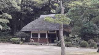 20161031_093946_zpsdw3sbl2v