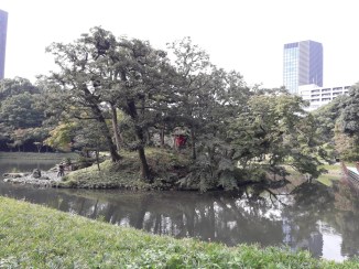 20161031_094124_zpsnmxpraqv