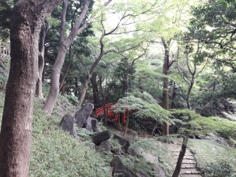 20161031_102010_zpstt2vfice