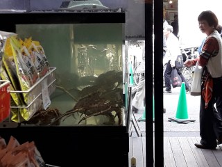 20161031_125207_zpsligjepix