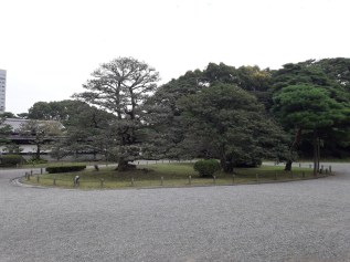 20161031_133526_zps6uopfrdz