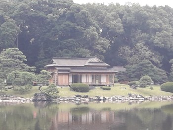 20161031_141230_zpspn218zhw