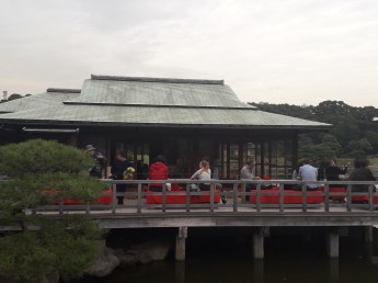 20161031_142050_zpsrcwlq0x6