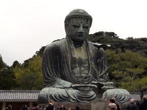 20161102_120435_zpsc7jo3kua