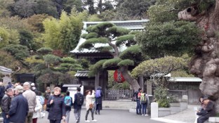 20161102_122640_zps6lcocuoj