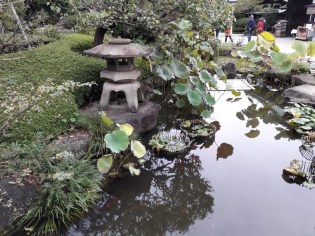 20161102_123211_zpssj7c0e1g