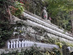 20161102_123650_zpsz4gtrxws