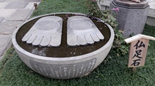 20161102_124020_zpsze47qldv