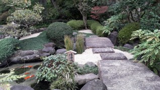 20161102_124039_zpsydfrx0x3