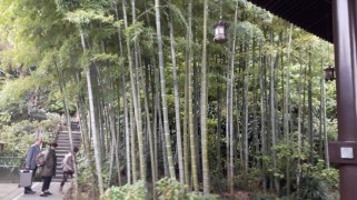 20161102_124122_zpscftc1bji